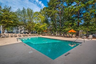 Swimming pool with tall pine trees surrounding the couryard